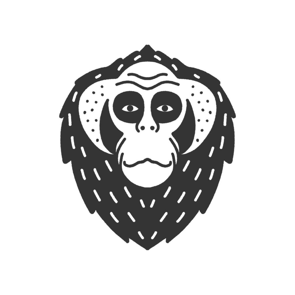 BALACLAVA FRIPE : la friperie qui fait confiance à la Laverie de la Baie