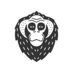 BALACLAVA FRIPE : la friperie qui fait confiance à la Laverie de la Baie